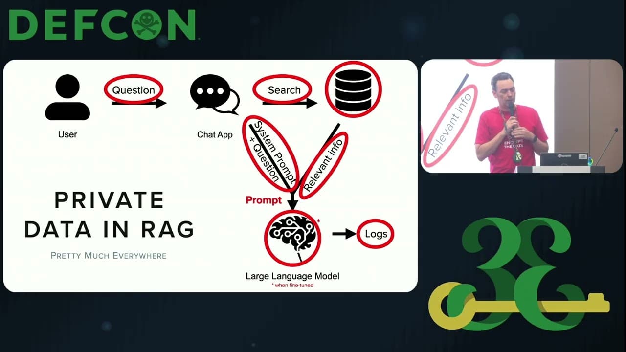 Exploiting Shadow Data in AI Models and Embeddings
